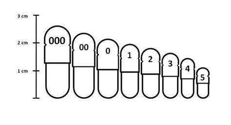 capsule sizes explained